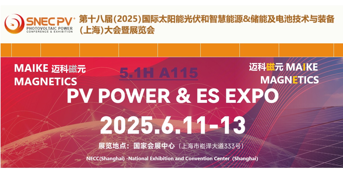 SNEC PV &ES 2025.jpg